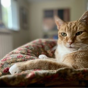 Meet your Posher, Kate